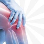 Arsitektur Gerak: Mengenal Komponen Utama yang Membangun Persendian Manusia